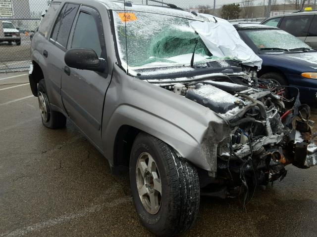 1GNDT13S152321026 - 2005 CHEVROLET TRAILBLAZE GRAY photo 1