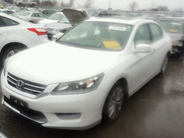 1HGCR3F87EA029743 - 2014 HONDA ACCORD EXL WHITE photo 2