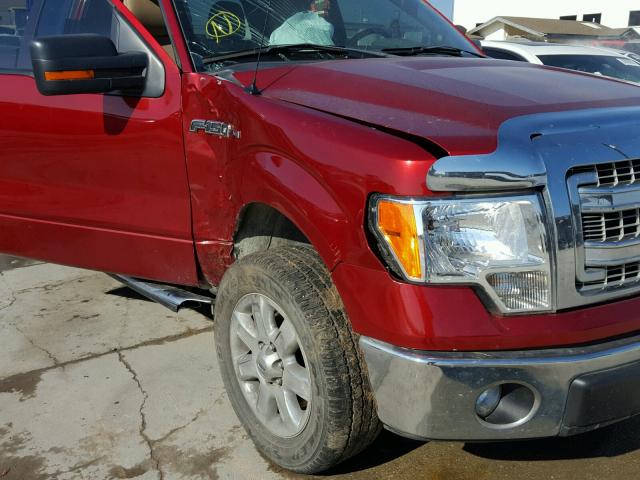 1FTEX1CM9DFB20209 - 2013 FORD F150 SUPER RED photo 9