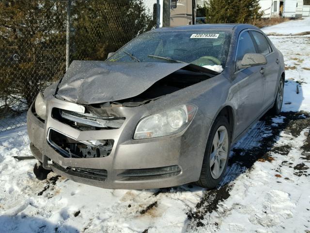 1G1ZB5EB6AF138271 - 2010 CHEVROLET MALIBU LS GOLD photo 2