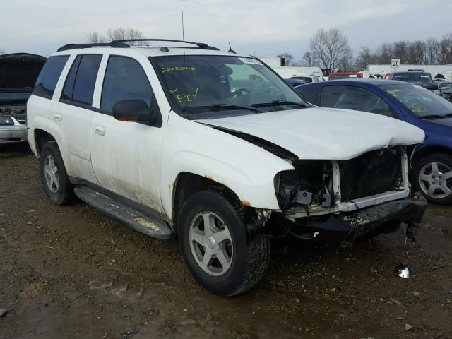 1GNDT13S852359434 - 2005 CHEVROLET TRAILBLAZE WHITE photo 1