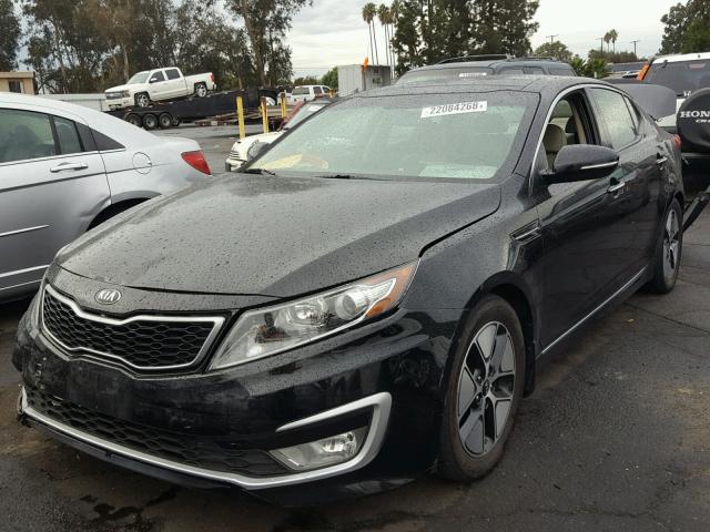 KNAGM4AD8C5034395 - 2012 KIA OPTIMA HYB BLACK photo 2