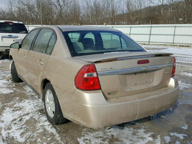 1G1ZT54865F218727 - 2005 CHEVROLET MALIBU LS GOLD photo 3