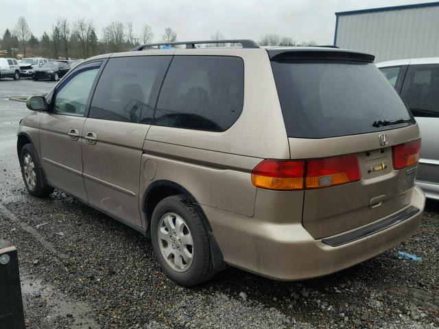 5FNRL18964B077129 - 2004 HONDA ODYSSEY EX GOLD photo 3