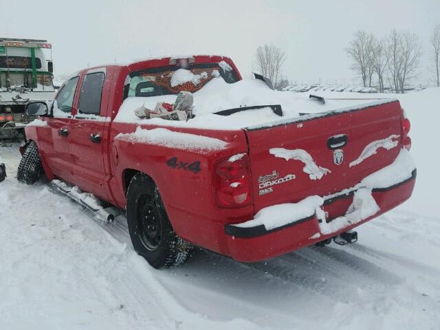 1D7HW48K65S242064 - 2005 DODGE DAKOTA QUA RED photo 3