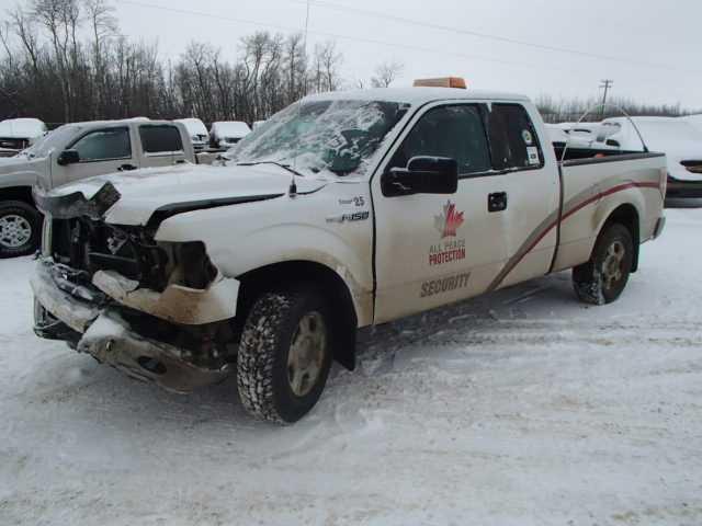 1FTFX1EF0DFB70094 - 2013 FORD F150 SUPER WHITE photo 2