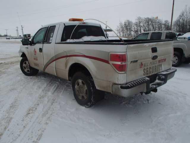 1FTFX1EF0DFB70094 - 2013 FORD F150 SUPER WHITE photo 3