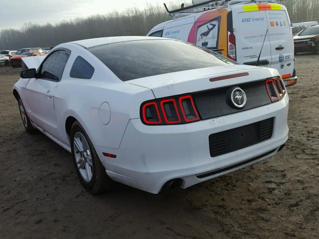 1ZVBP8AM4E5296958 - 2014 FORD MUSTANG WHITE photo 3