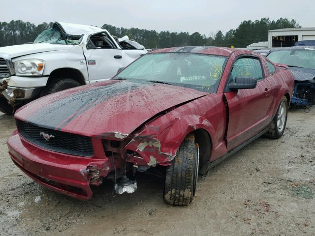 1ZVFT80N255137542 - 2005 FORD MUSTANG RED photo 2