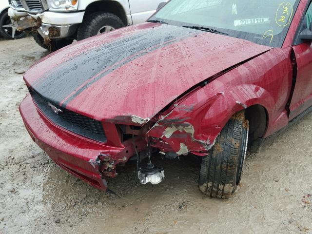 1ZVFT80N255137542 - 2005 FORD MUSTANG RED photo 9