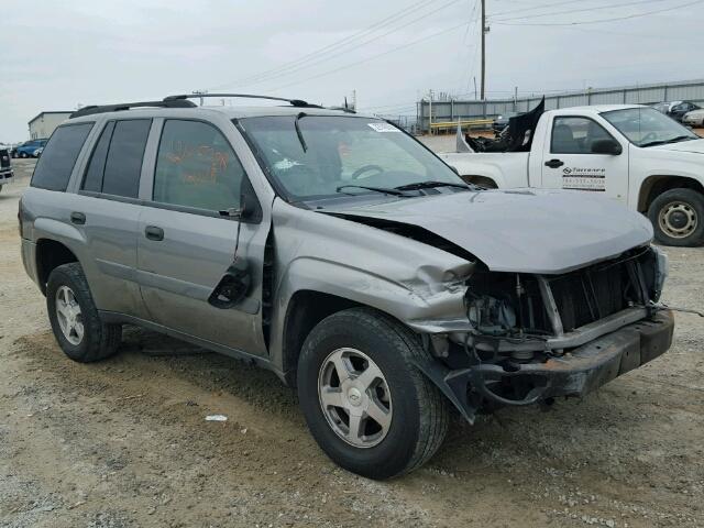 1GNDS13S452136777 - 2005 CHEVROLET TRAILBLAZE GRAY photo 1