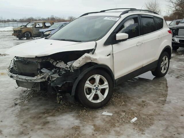 1FMCU0GX7DUA50280 - 2013 FORD ESCAPE SE WHITE photo 2