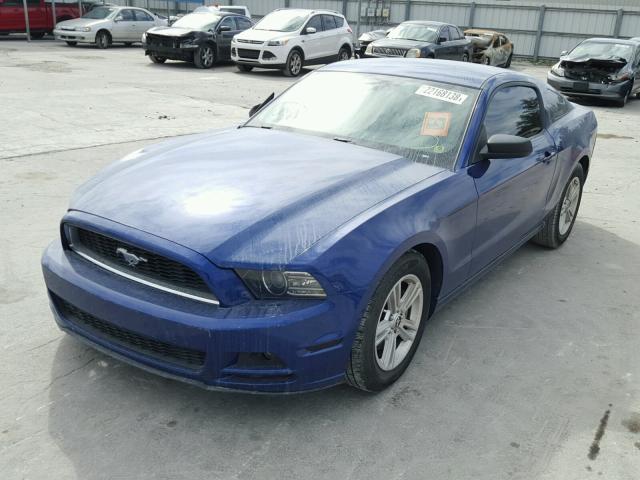 1ZVBP8AM6D5205686 - 2013 FORD MUSTANG BLUE photo 2