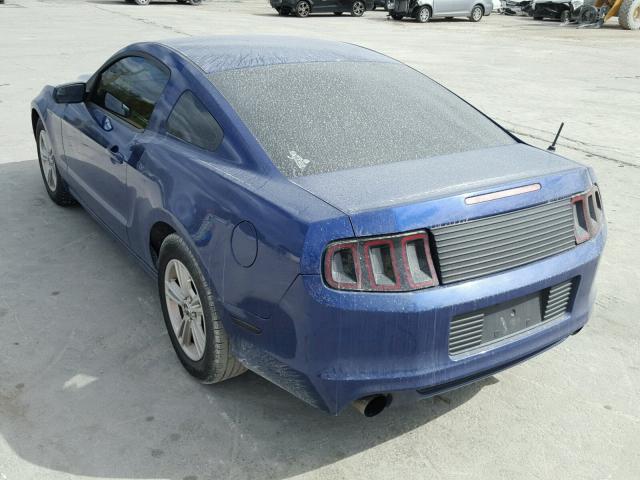 1ZVBP8AM6D5205686 - 2013 FORD MUSTANG BLUE photo 3