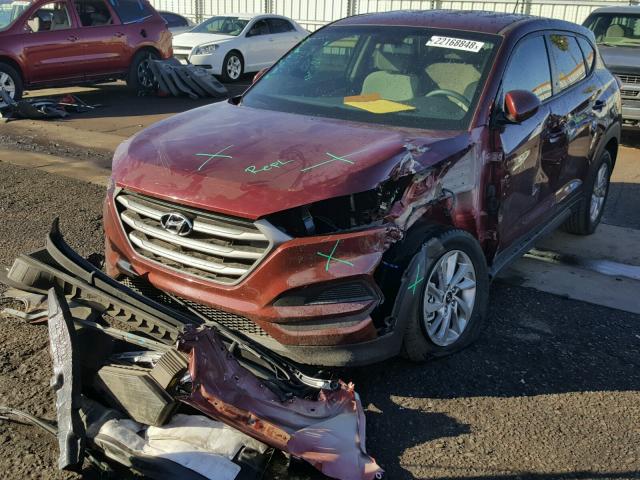 KM8J23A46GU037408 - 2016 HYUNDAI TUCSON SE MAROON photo 2