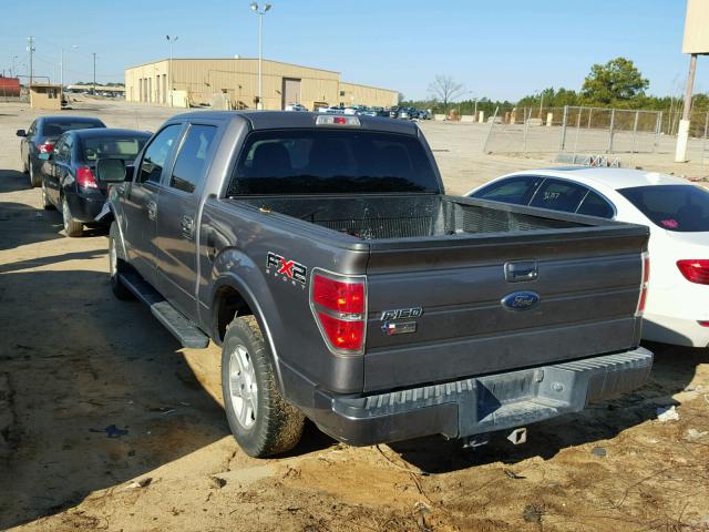 1FTEW1C8XAKE04781 - 2010 FORD F150 SUPER GRAY photo 3