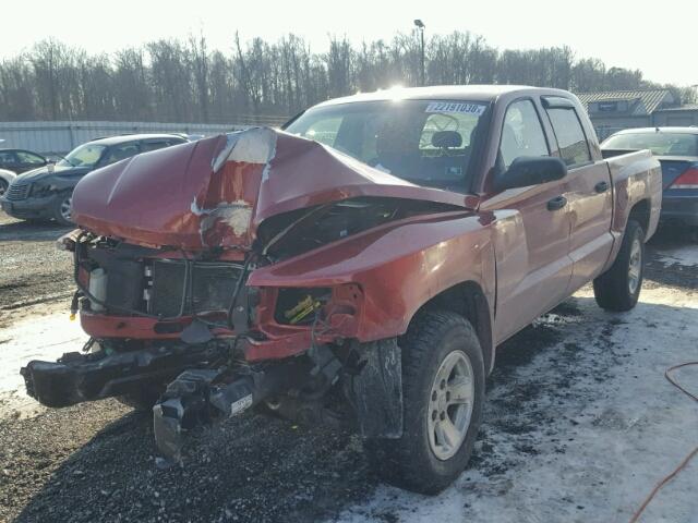 1D7HW38K58S522573 - 2008 DODGE DAKOTA SXT RED photo 2