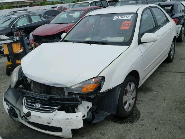 KNAFE222495665504 - 2009 KIA SPECTRA EX WHITE photo 2