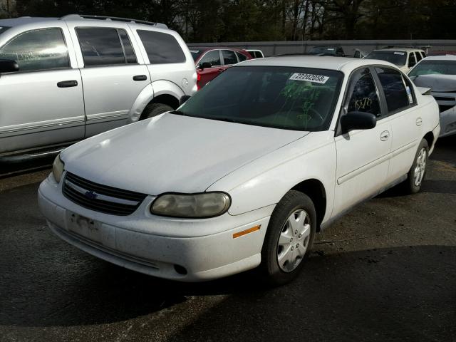 1G1ND52J53M528409 - 2003 CHEVROLET MALIBU WHITE photo 2