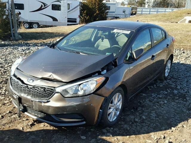 KNAFX4A61F5255572 - 2015 KIA FORTE LX BROWN photo 2