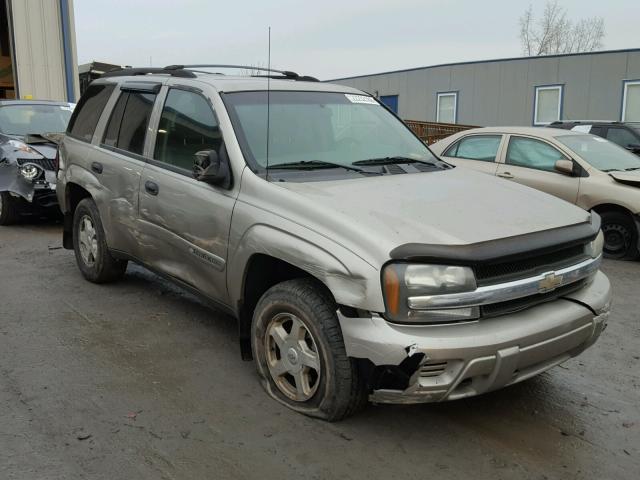 1GNDT13S322464765 - 2002 CHEVROLET TRAILBLAZE TAN photo 1