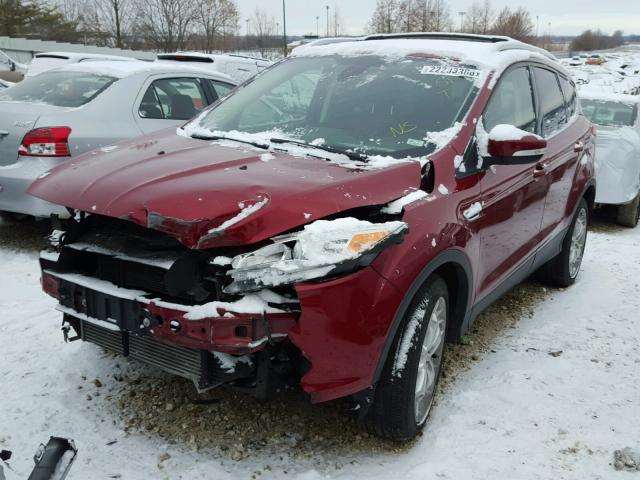 1FMCU0J93DUB39550 - 2013 FORD ESCAPE TIT RED photo 2