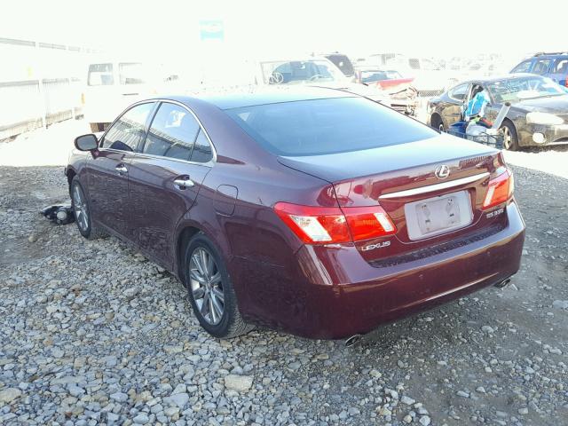 JTHBJ46G182231182 - 2008 LEXUS ES 350 MAROON photo 3