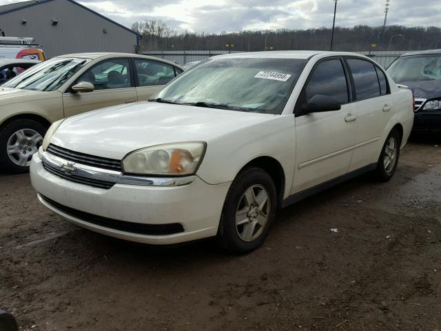 1G1ZT52885F309890 - 2005 CHEVROLET MALIBU LS WHITE photo 2