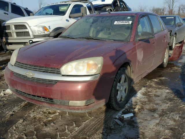 1G1ZU64844F142975 - 2004 CHEVROLET MALIBU MAX 红色 照片 2