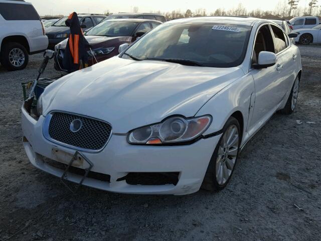 SAJWA06B19HR36726 - 2009 JAGUAR XF PREMIUM WHITE photo 2