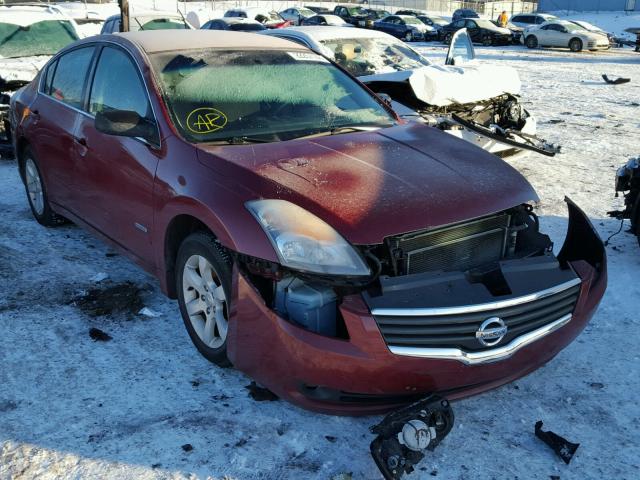 1N4CL21E58C140376 - 2008 NISSAN ALTIMA HYB RED photo 1