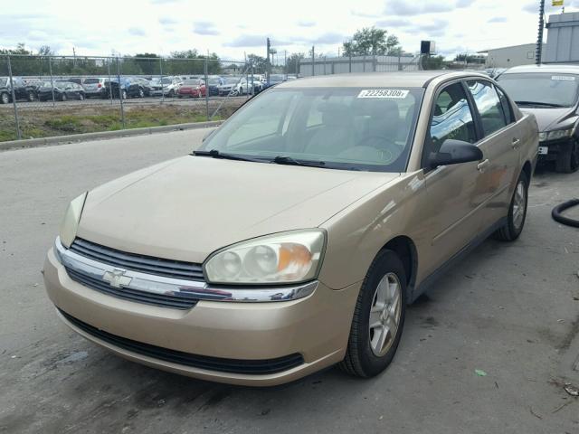 1G1ZT52865F151422 - 2005 CHEVROLET MALIBU LS GOLD photo 2