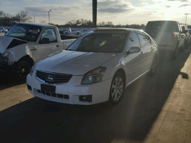 1N4BA41E78C800169 - 2008 NISSAN MAXIMA SE WHITE photo 2