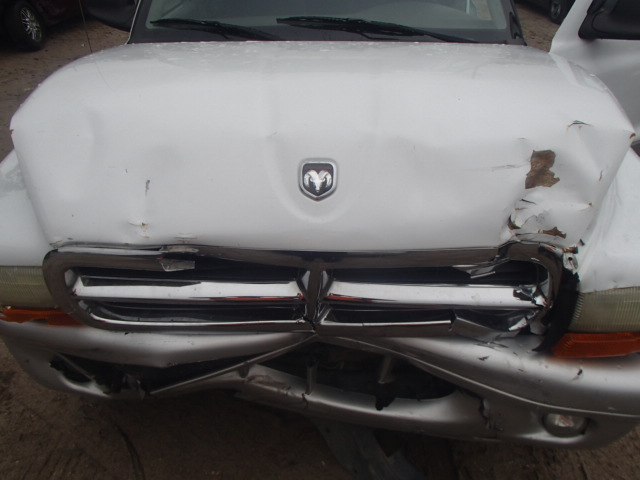 1B7HL48X82S690641 - 2002 DODGE DAKOTA QUA WHITE photo 7