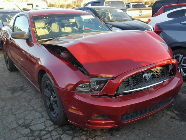 1ZVBP8AMXE5313844 - 2014 FORD MUSTANG RED photo 1