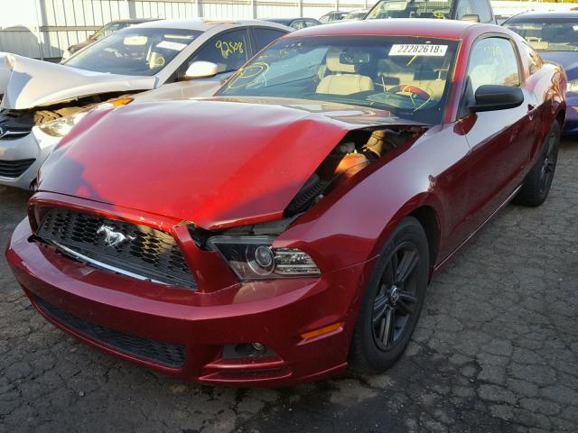 1ZVBP8AMXE5313844 - 2014 FORD MUSTANG RED photo 2