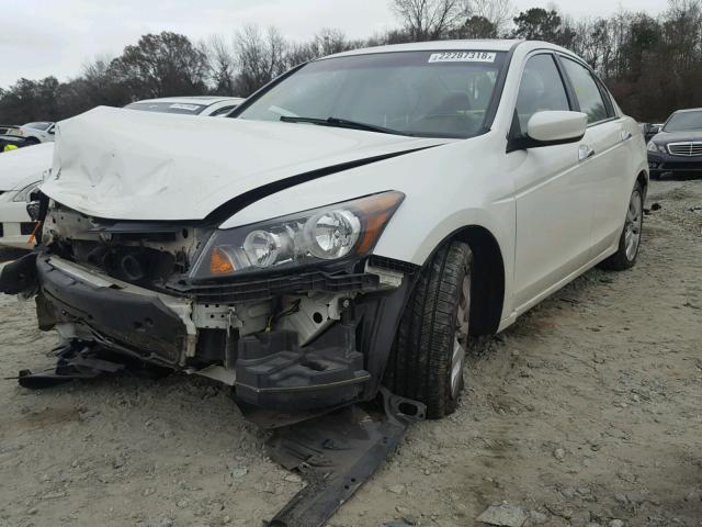 1HGCP36828A056777 - 2008 HONDA ACCORD EXL WHITE photo 2