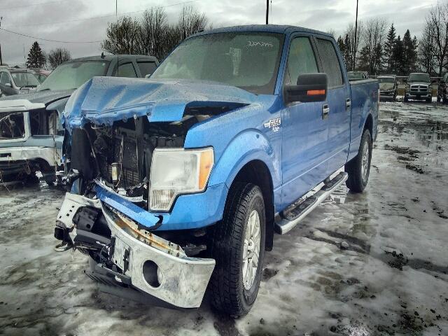 1FTFW1EF9DFD07200 - 2013 FORD F150 SUPER BLUE photo 2