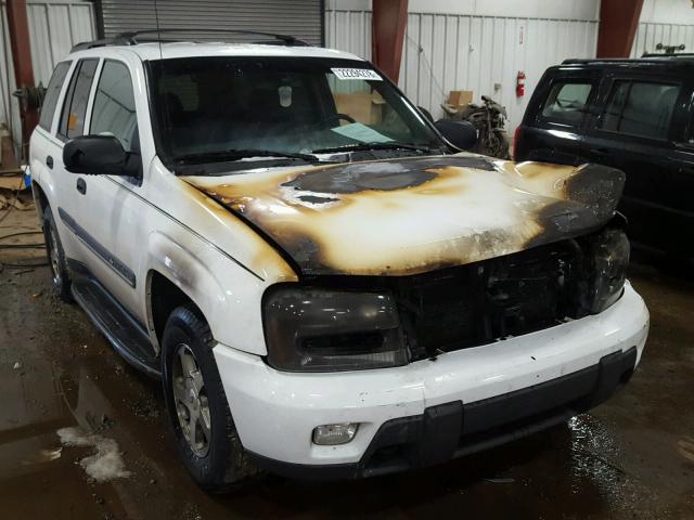 1GNDT13S922178094 - 2002 CHEVROLET TRAILBLAZE WHITE photo 1