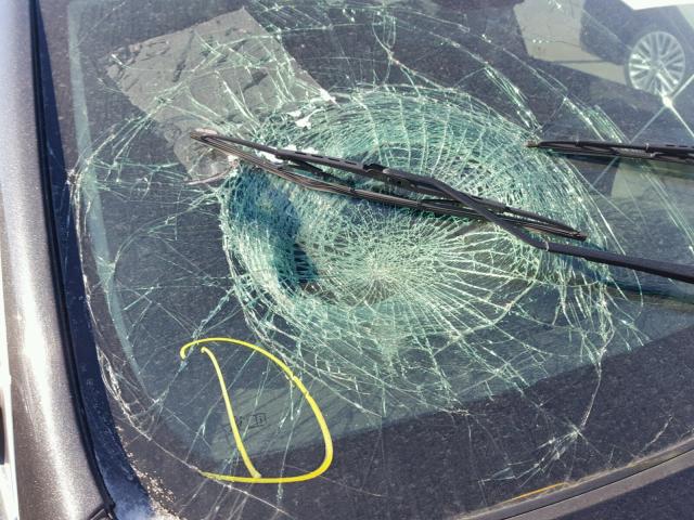 2G4GV5GV6D9157893 - 2013 BUICK REGAL GS 黑色 照片 9