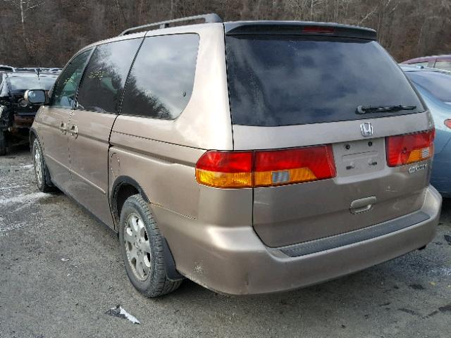 5FNRL189X3B101172 - 2003 HONDA ODYSSEY EX TAN photo 3