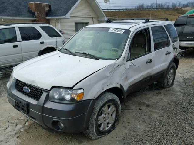 1FMYU93186KB78053 - 2006 FORD ESCAPE XLT WHITE photo 2