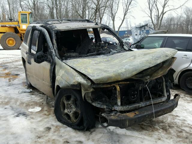 1GNDT13S162331492 - 2006 CHEVROLET TRAILBLAZE BURN photo 1