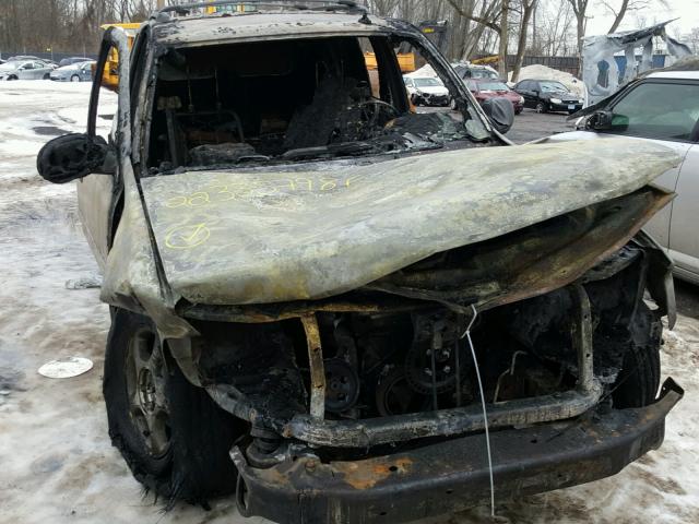 1GNDT13S162331492 - 2006 CHEVROLET TRAILBLAZE BURN photo 9