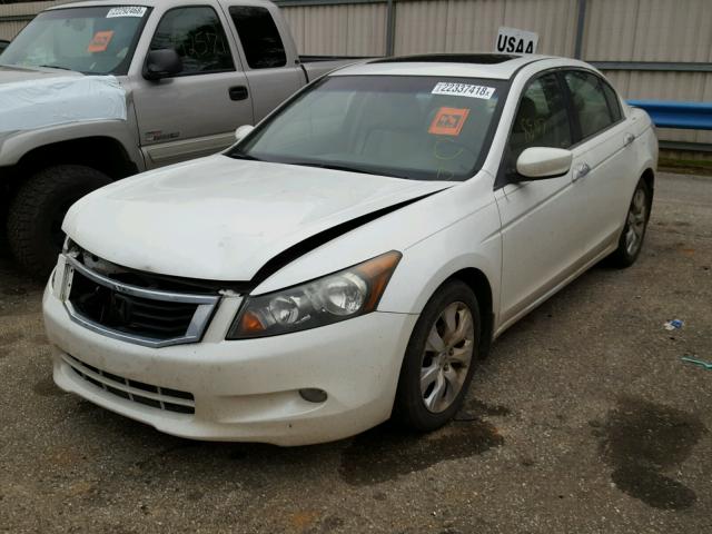 5KBCP3F85AB015590 - 2010 HONDA ACCORD EXL WHITE photo 2