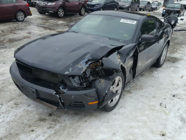 1ZVBP8AM4C5285133 - 2012 FORD MUSTANG BLACK photo 2