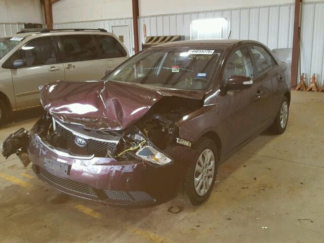 KNAFU4A23A5062905 - 2010 KIA FORTE EX MAROON photo 2