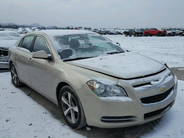 1G1ZC5E14BF119269 - 2011 CHEVROLET MALIBU 1LT GOLD photo 1