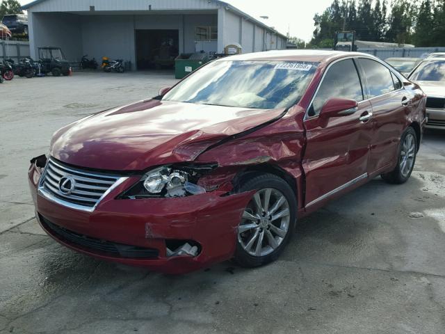 JTHBK1EG4B2447127 - 2011 LEXUS ES 350 RED photo 2