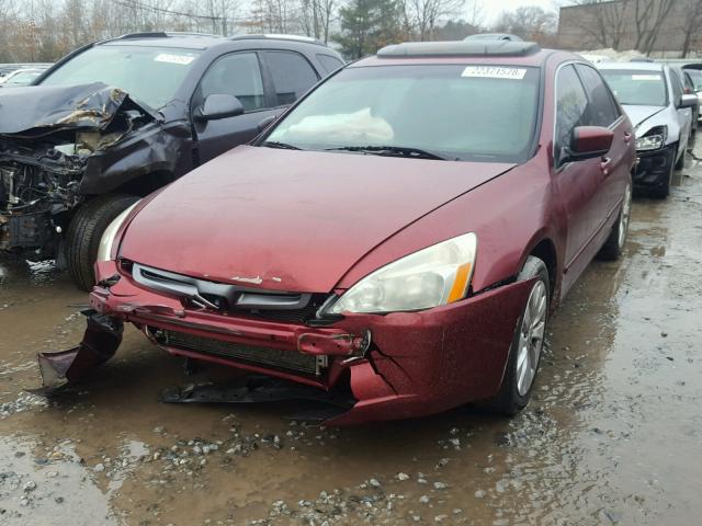 1HGCM56674A146049 - 2004 HONDA ACCORD EX MAROON photo 2